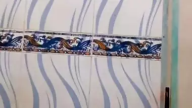 Indian nude mms of a beautiful college girlfriend